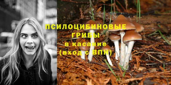 каннабис Алзамай