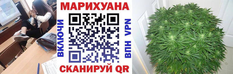 Конопля Bruce Banner Аргун